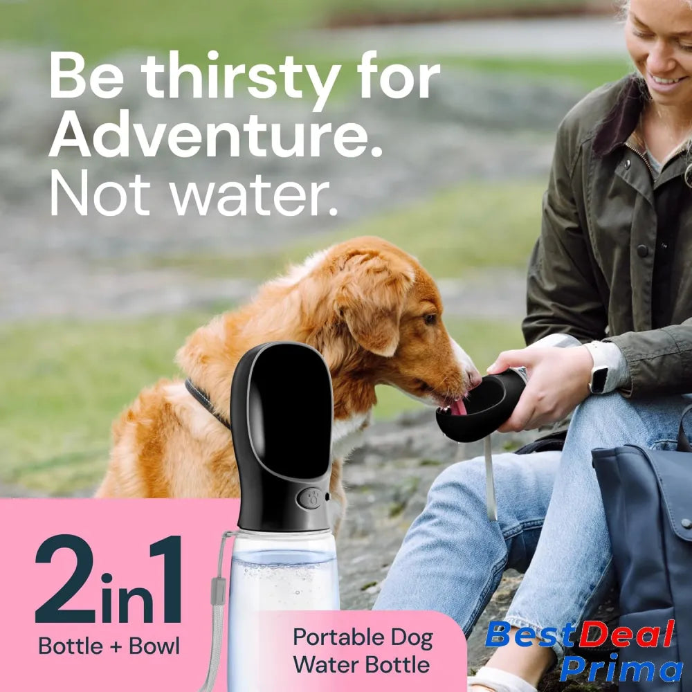 19 Oz Portable Water Bottle For Dogs