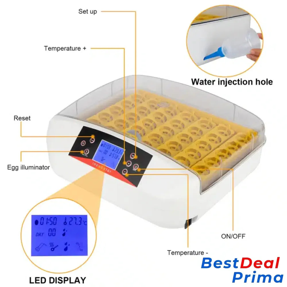 42-Egg Practical Fully Automatic Poultry Incubator