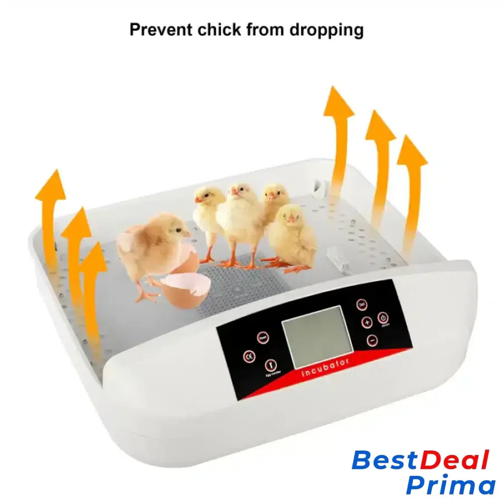 42-Egg Practical Fully Automatic Poultry Incubator