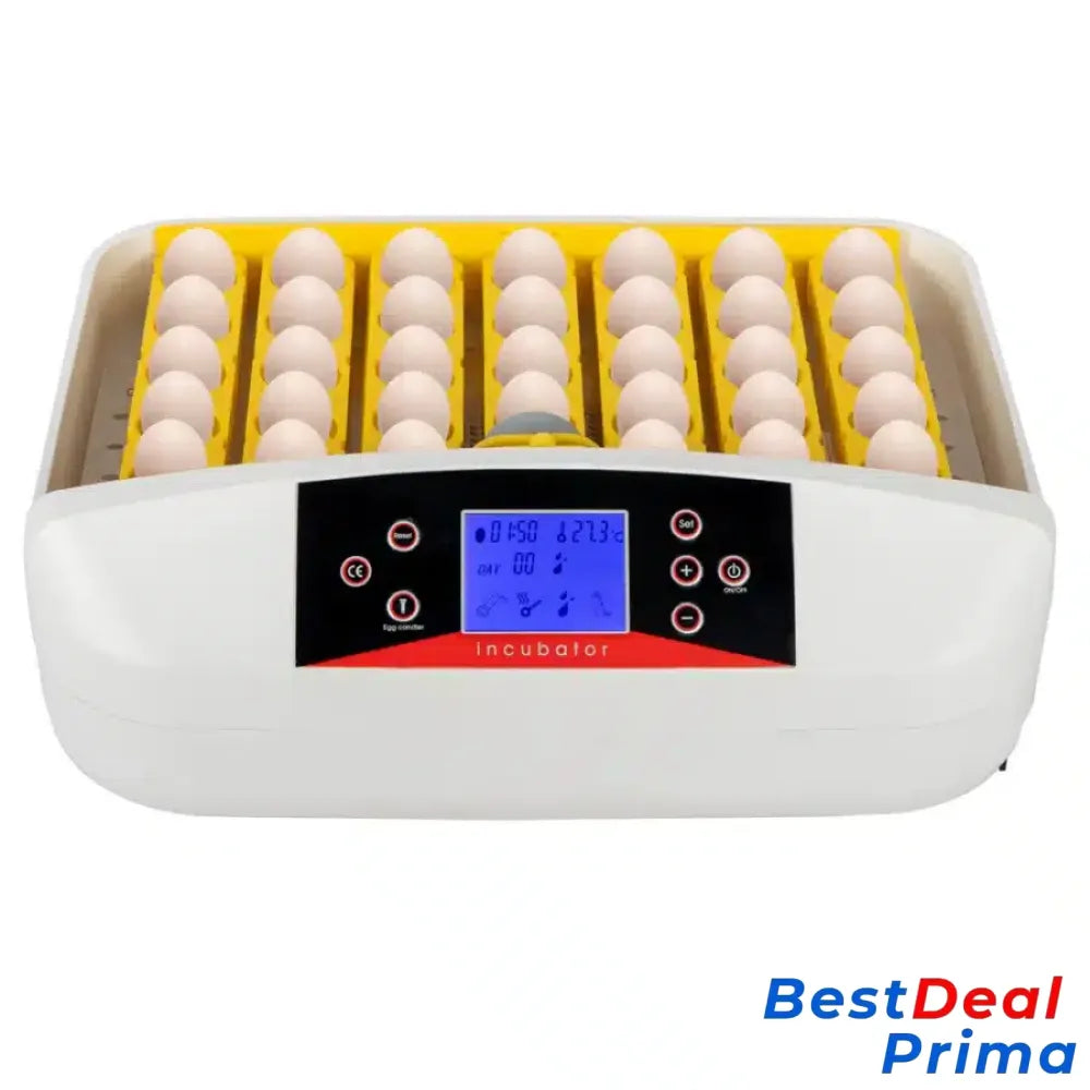 42-Egg Practical Fully Automatic Poultry Incubator