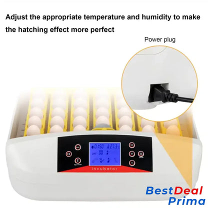 42-Egg Practical Fully Automatic Poultry Incubator