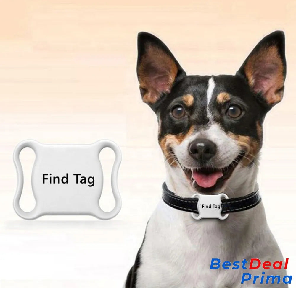 Dog Gps Tracker Collar Cat & Whiite / X1 Findmy Tag