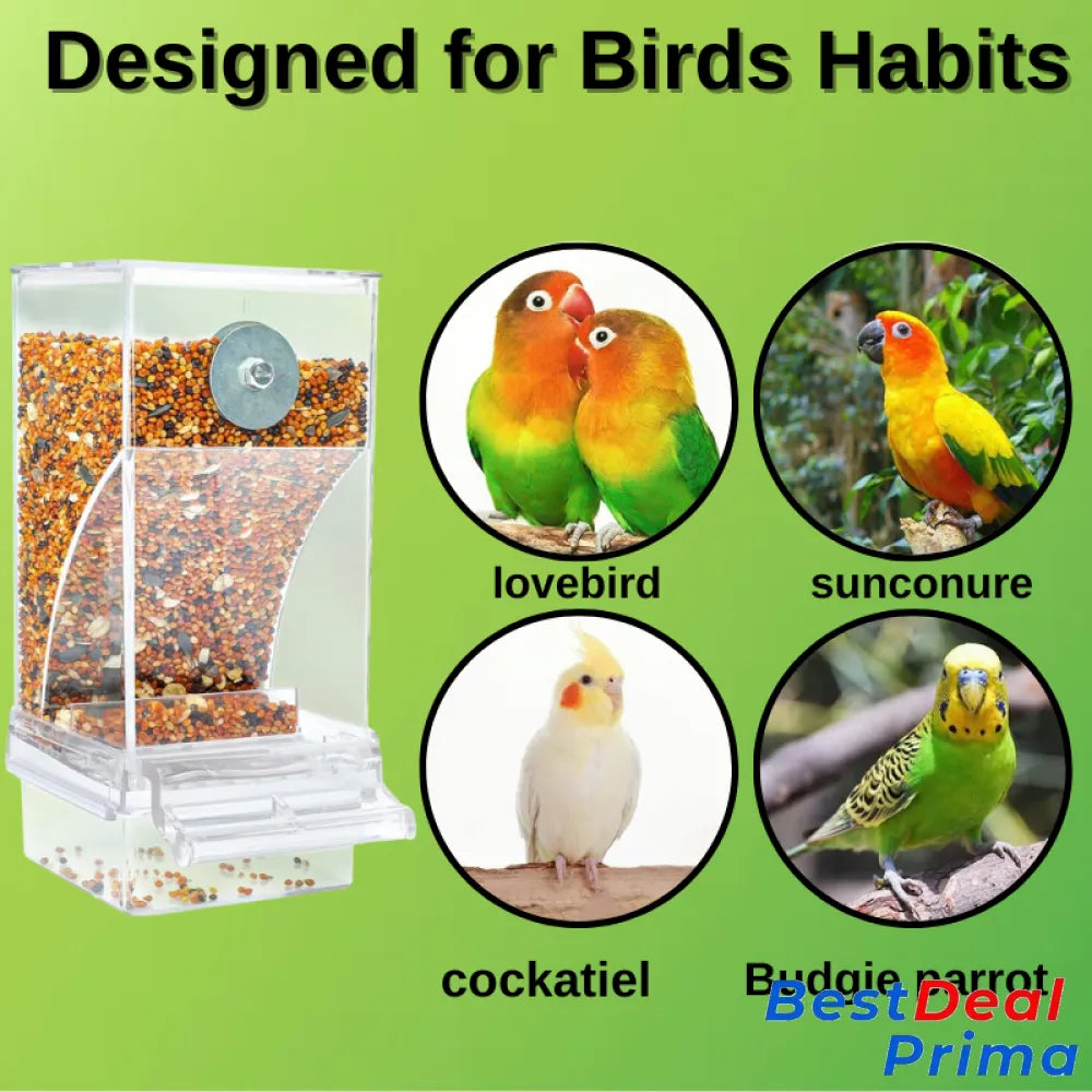 Duvefeeder™ No Mess Automatic Bird Feeder